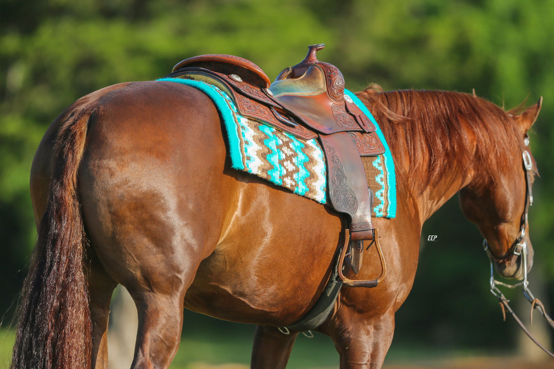 Customised Western Show hot Pad, Saddle Pad Horseridding free delivery